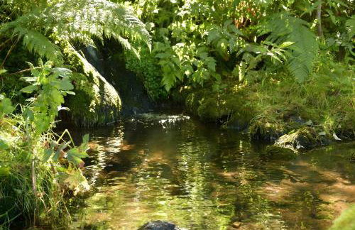 Ferienwohnung am Nettenbach - Foto 11