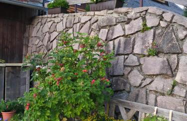 Schwarzwaldferienwohnung Oberle - Foto 36