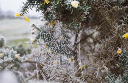 Corner Cottage - character, charm, great location. - Foto 79