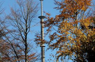 Ferienwohnung Pedall - Foto 8