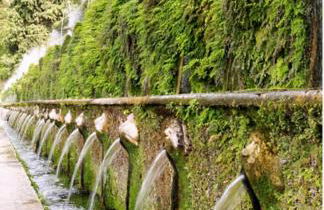 Casa di Ale - Foto 58