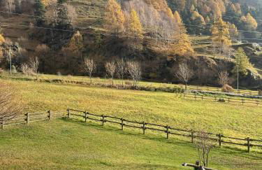Casa Grailè - Alpine apartment in Valtellina - Photo 23