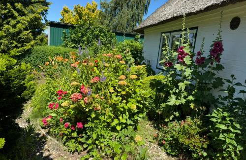 Emmis-Ferienhaus - Foto 19