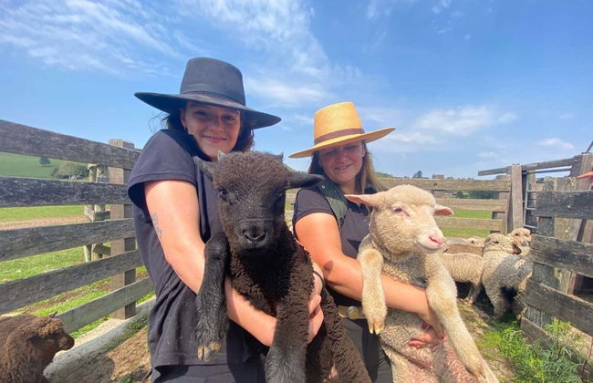 Visita a la estancia Santa Bárbara - Foto 2