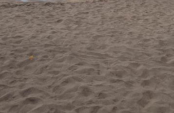 Rosas by Villas Rinamar - Foto 36