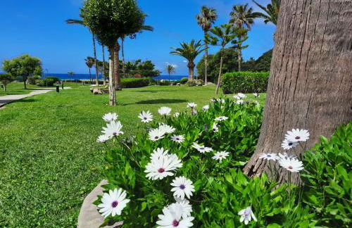 AIRUNNES Atico duplex Zahara primera linea - Photo 33