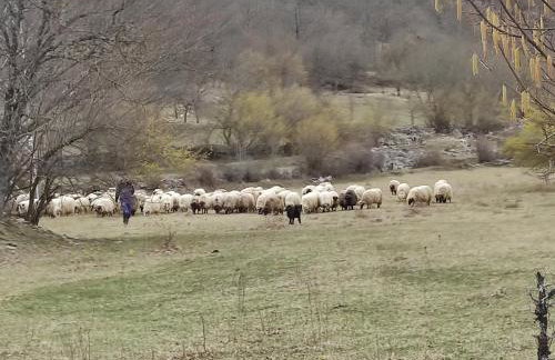 Lika Relax and Party House with sauna, jacuzzi and outdoor heated swimming pool - Foto 39