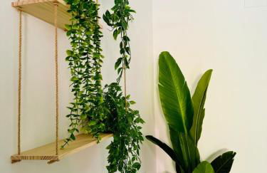 Mediterranean Flat next to the Historic Center - Photo 21