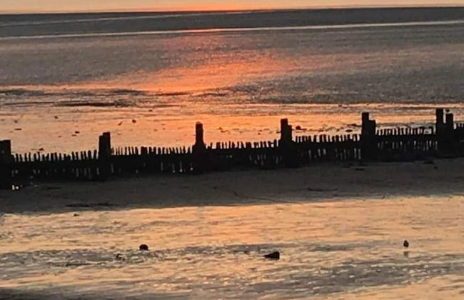 Heacham 2 bed Superior Caravan With Pets go Free - Foto 16