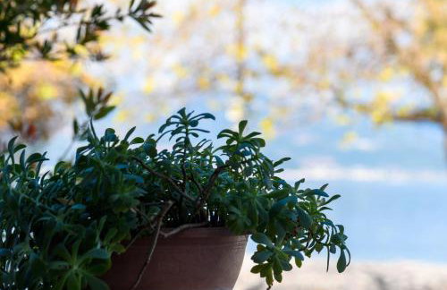 Seaside House In Agios Vasilios - Foto 45