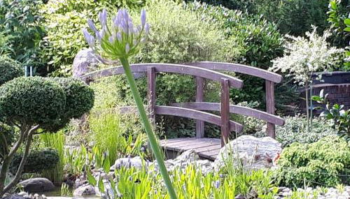 NEU! Ferienwohnung Flut - Photo 2