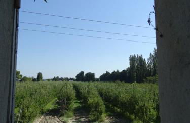 Logement charme provençal - Foto 19