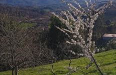 Apartamentos Rurales Sariar - Photo 40