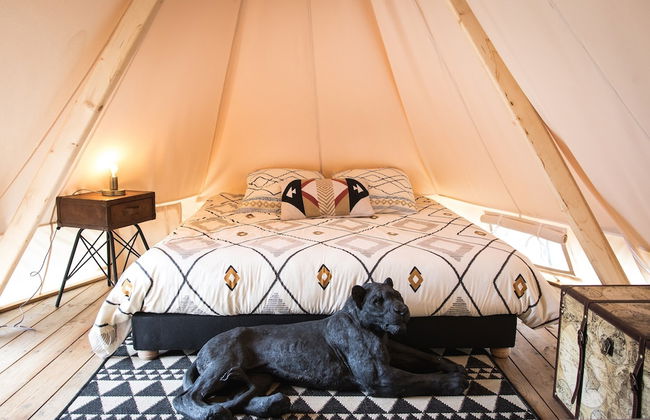 Whaka Lodge - Foto 56