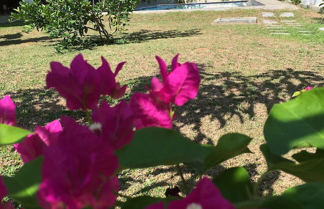 Silence Garden - Foto 40