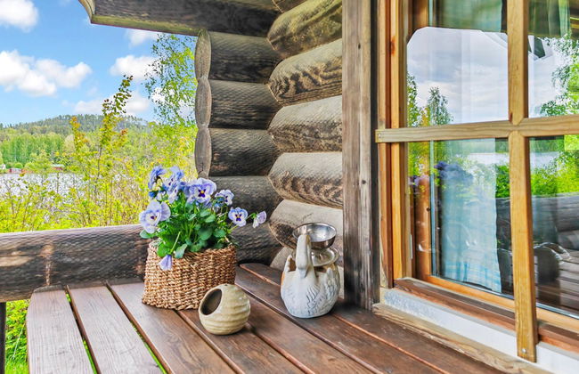 Heinäsorsa - Foto 3