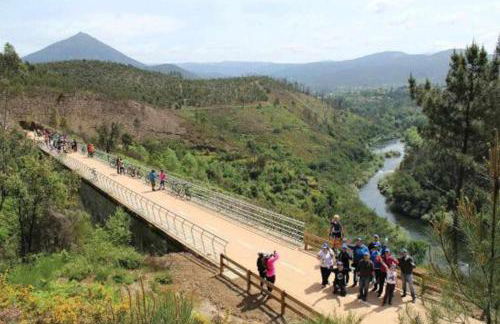 Casa da Caneleira Camélias de Basto - Foto 41