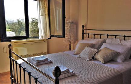 Dionysus Blue Sky - Foto 21