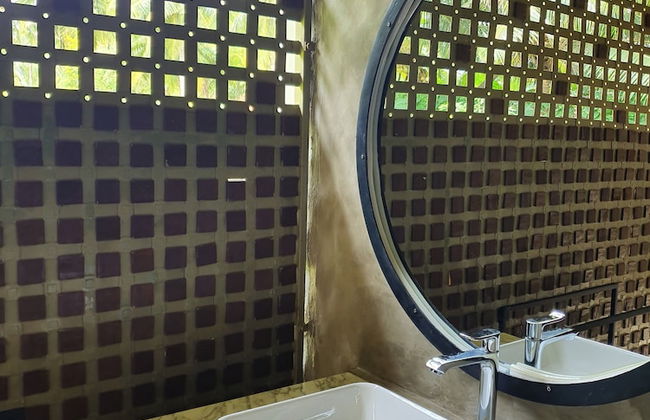 Solar Crab - Photo 10