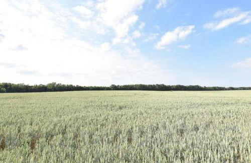 Idyllic Holiday Home in Damshagen with Terrace - Foto 29