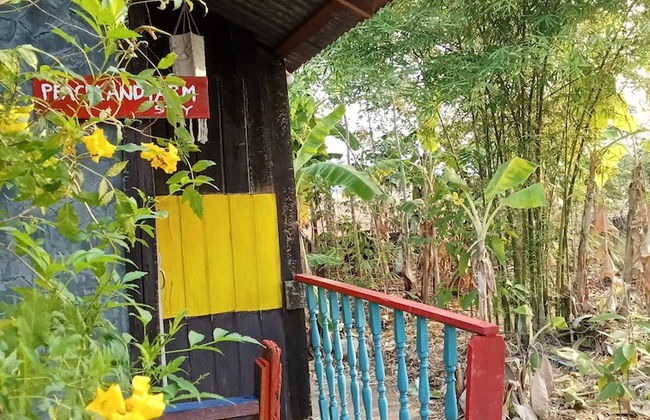 peaceland farmstay - Photo 47