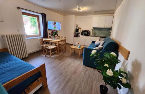 Gite Bruyère, 2 à 5 personnes avec salle de jeux et SPA dans la résidence - Foto 3