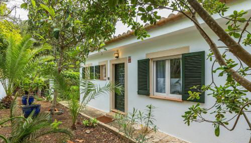 Villa Polina - Photo 4