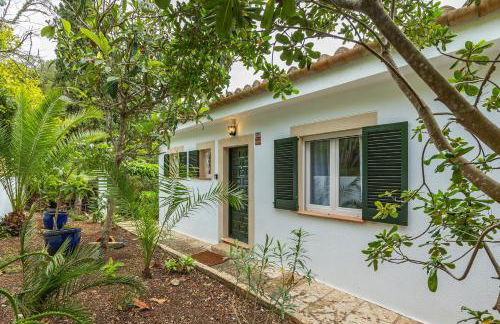 Villa Polina - Photo 4