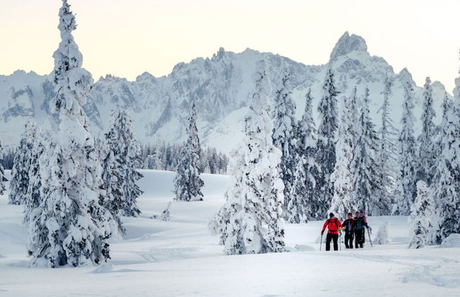 Apartment Bar Comfortable Holiday Residence - Photo 14