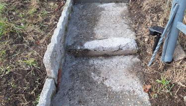 Tiny Torbiera - Foto 3