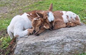 Quinta da Fé - Foto 35