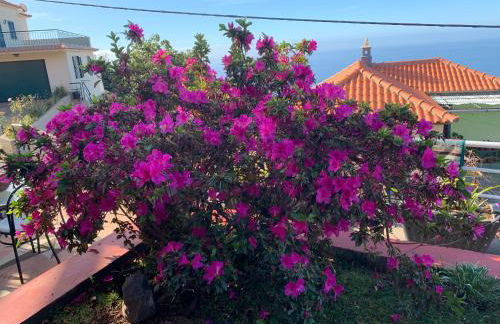 Ponta do Sol Villa - Foto 46