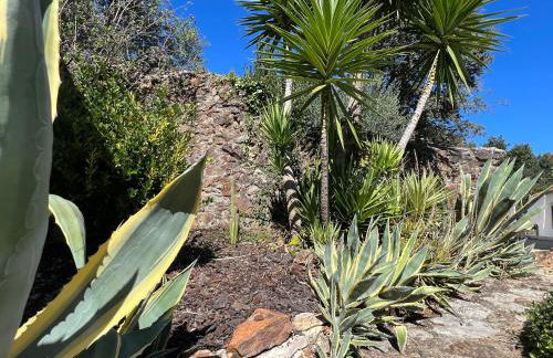 Casa Do Vale - Foto 23