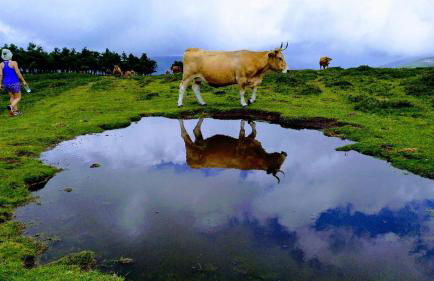 Casa Gayón - Foto 41