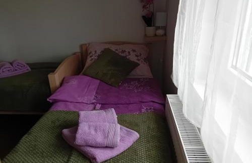 Apartmani Ani - Foto 9