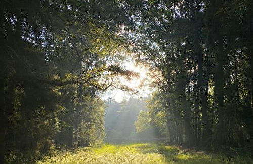 Forest Retreat In East Frisia - Photo 25