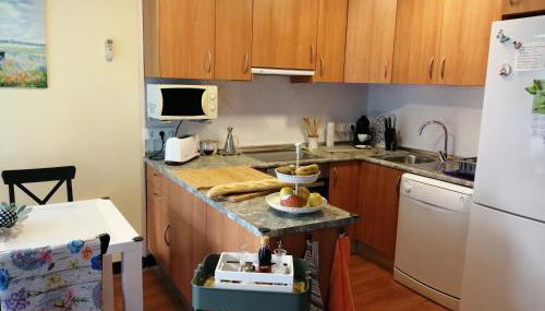 Apartaments Oller Centro - Photo 4, stove, pet friendly, toaster