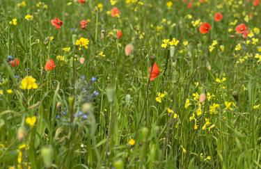 Tranquil Sands Holiday Home - Foto 52