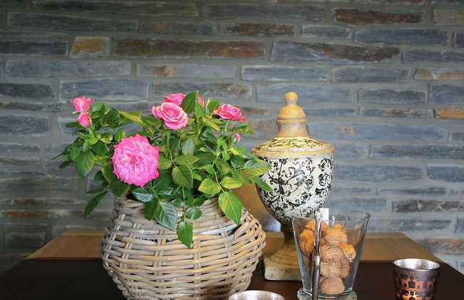 Luxurious Holiday Home With Sauna in Fauvillers - Foto 16