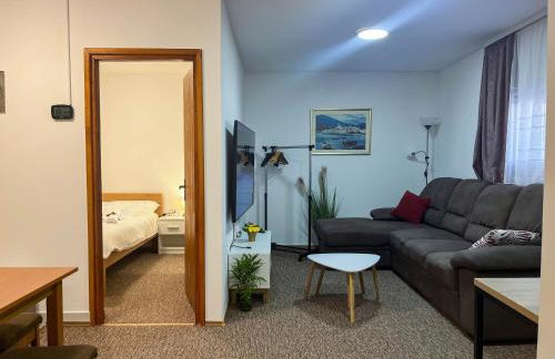 Apartmani MOSLAVINA i parking - Foto 19