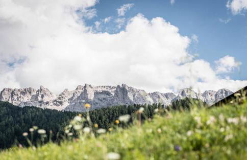 Cadepunt The Dolomites Lodge - Foto 44