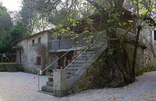 Quinta do Galgo - Foto 6