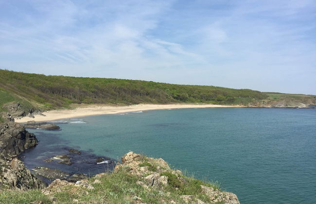 Lovely 4-bed House in Kosti - Foto 22