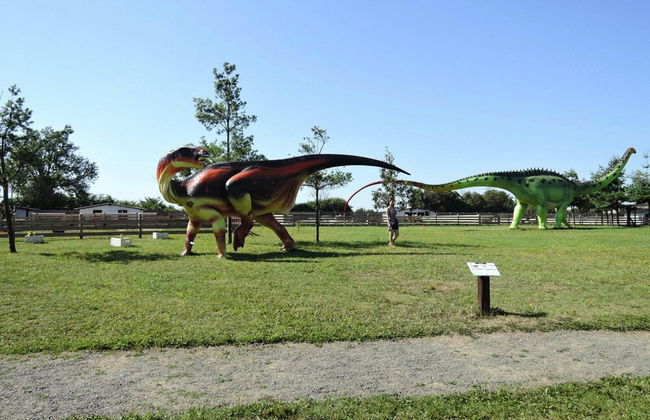 Bungalows in Wrzosowo - The Bird's Cage for 4 Persons - Foto 13