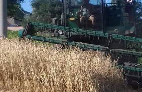 Agriturismo PEDROSOLA - Photo 55