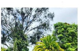 La cabane de la baie - Foto 40