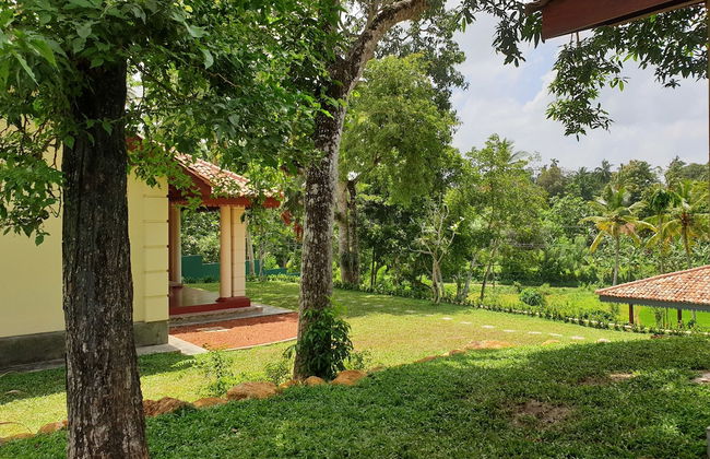 The Mugatiya - Foto 47