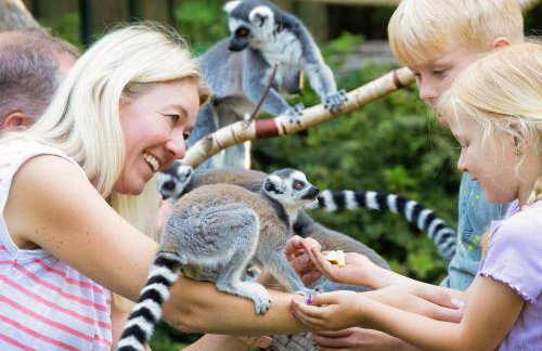 Tierpark Entdeckerhäuser - Foto 12