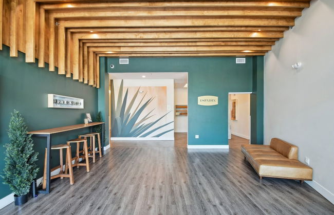 Bold & Elevated | Espadin LoHi - Foto 22