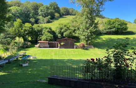 Apartamentos Irati - Foto 5